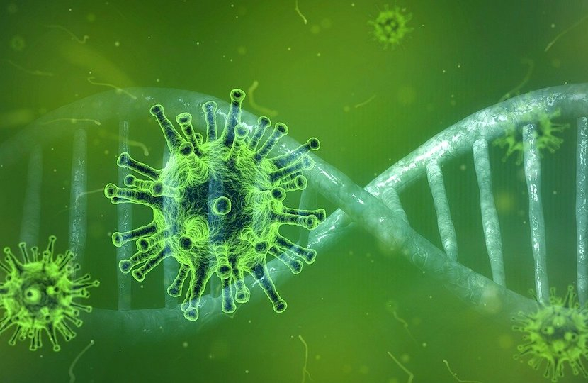 virus