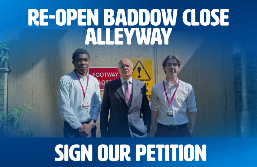 Baddow Close alleyway Graphic 1
