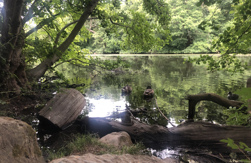 Highams Park Lake