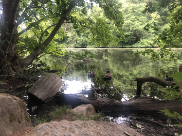 Highams Park Lake